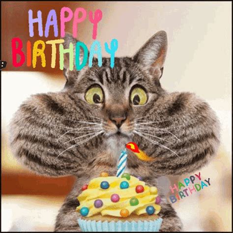 happy-birthday gif|Happy Birthday GIF Images 